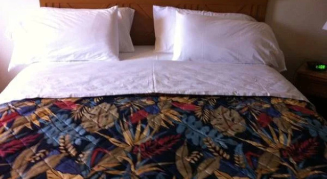 D-Lux Budget Inn Lemont, Забронировать Отель Лемонт Chicago Southwest Suburbs