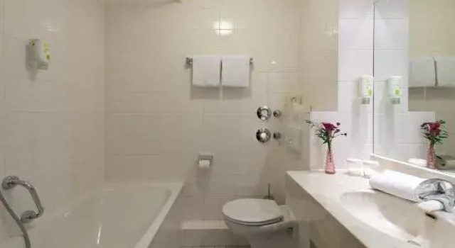 Двухместная студия ACHAT Hotel Frankenthal in der Pfalz