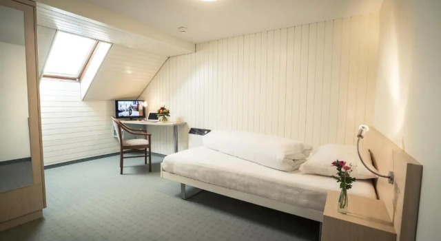 Одноместный номер Standard Hotel Kreuz