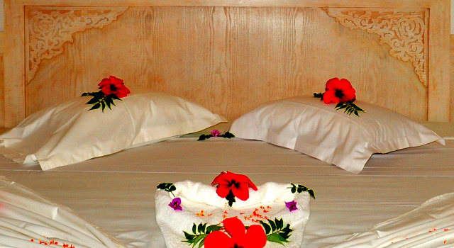 Zodiac Hotel