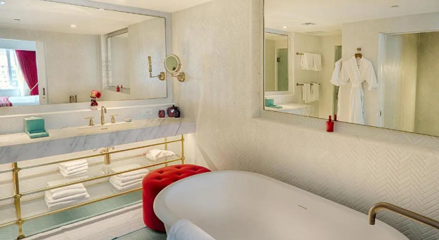 Двухместный полулюкс с видом на океан Faena Miami Beach