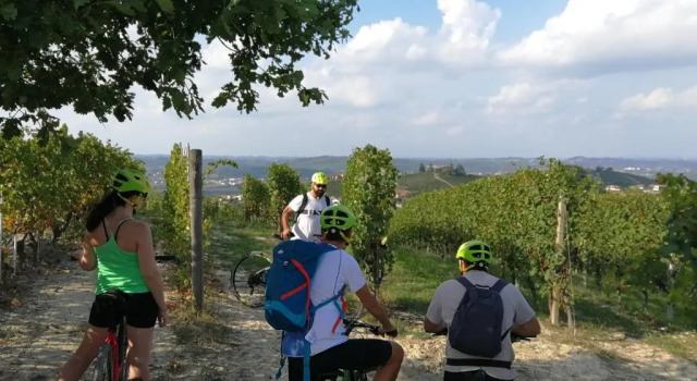 Апартаменты Deluxe Home Sweet Langhe - Authentic Langhe Stay