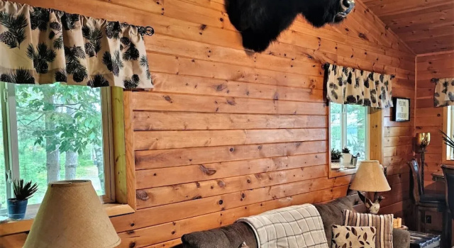 Номер Standard Butler's Bay Teal Lake Cabin