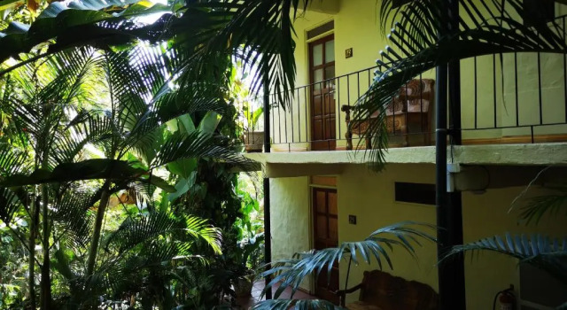 Номер Standard Hotel La Mariposa