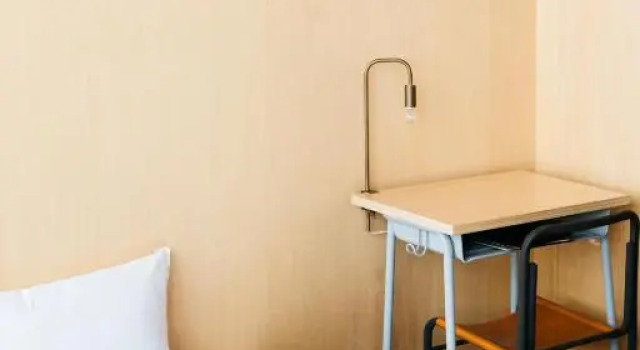 Одноместный номер Economy Iwashi Building Hostel