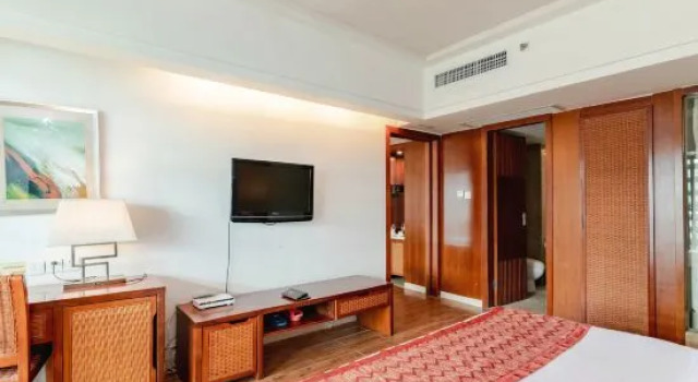 Люкс Superior Leroy Hotel Wu Zhi Shan