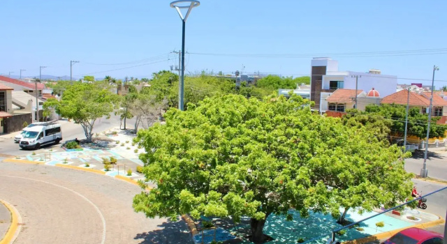 Camera Standard Paseo Lomas