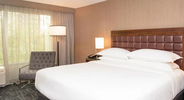 Номер Executive Sheraton Ann Arbor Hotel