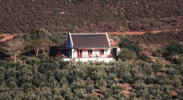 Коттедж Orange Grove