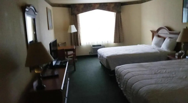 Четырёхместный номер Standard Palace Inn & Suites
