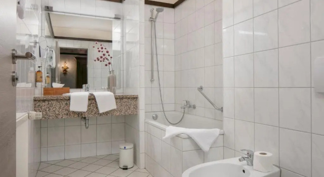 Одноместный номер Standard Best Western Hotel Mainz