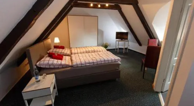 Pension Altes Burghotel