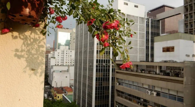 Apartamento Haddock Lobo