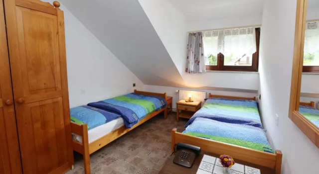 Двухместный номер Basic Bed & Breakfast Hisa Resje