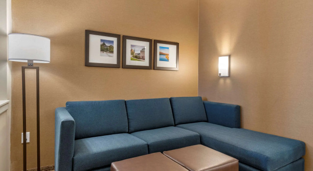 Четырёхместный люкс Comfort Suites Camp Hill-Harrisburg West