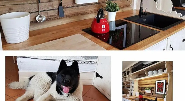 Студия Apartamenty Góralski DACH NAD GŁOWĄ
