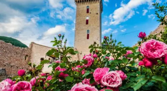 Lo Rocca Dei Trinci, Book Hotel Hotels in Foligno with Parking, Parking