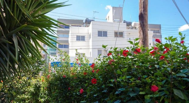 Laila's Luxury Promenade Villa