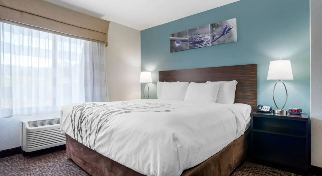 Двухместный люкс Sleep Inn & Suites Auburn Campus Area I-85