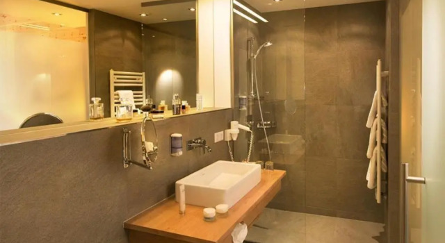 Номер Standard Hotel Kaprunerhof