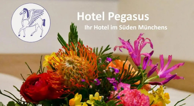 Номер Economy Hotel Pegasus