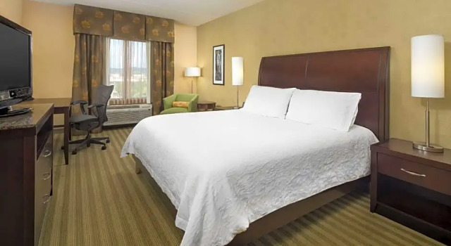 Двухместный люкс Hilton Garden Inn Nashville/Franklin-Cool Springs