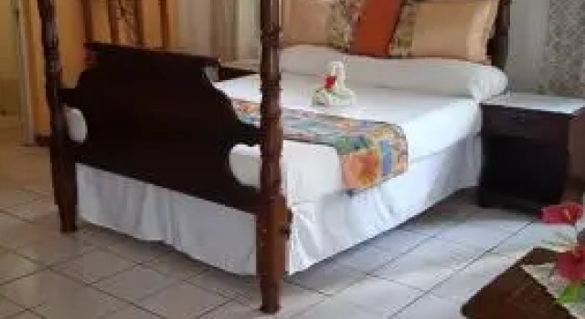 Palm Tree Guest House, Prenota Affittacamere Green Island Hanover
