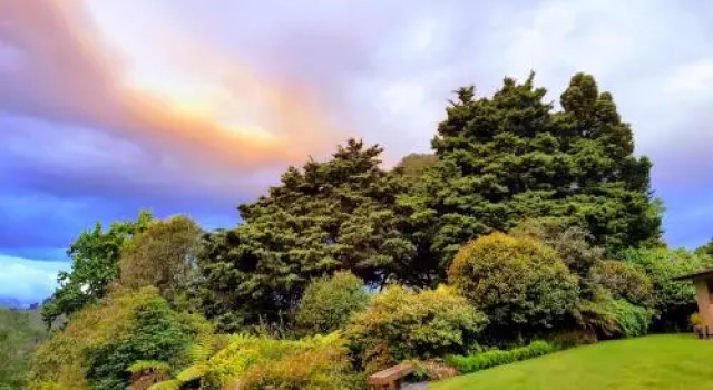 The Glade Accommodation, Taumarunui, Rezerwuj Hotel Hotele w Auckland Region ze śniadaniem, Śniadanie