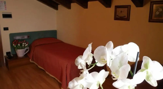 Номер Standard Hotel Villa Monica