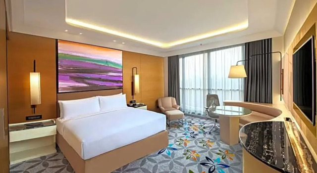 Двухместный люкс DoubleTree by Hilton Ahmedabad