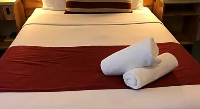 Номер Economy Sunseeker Motor Inn