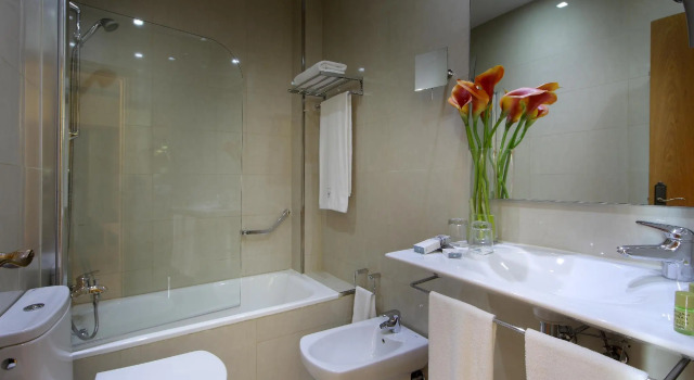 Одноместный номер Standard Eurostars Regina