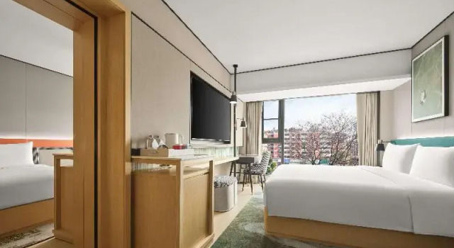 Номер Standard Hilton Garden Inn Chengdu Tianfu Panda Tower