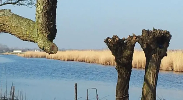 Het Morgenland, Rezervovat Apartmán  