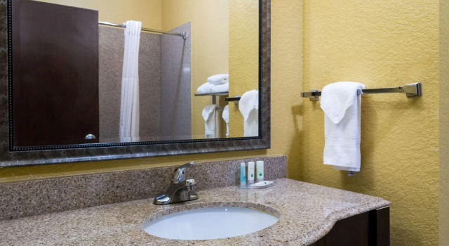 Двухместный номер Standard Quality Inn & Suites Slidell