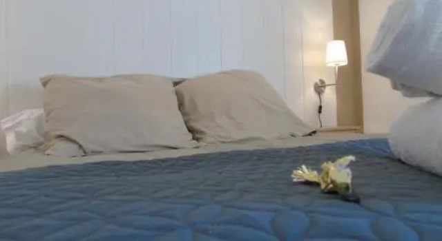 Les Jardins dAnna - Chambres dhôtes, Réserver Auberge Mini-hôtels à Auvergne, Auberge