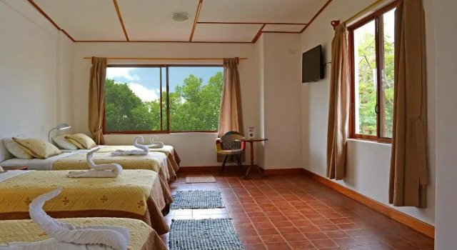 Четырёхместный номер Standard Lava House Hostal