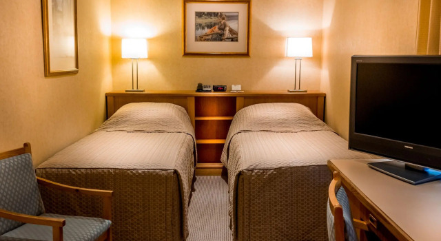 Двухместный номер Standard European Hotel