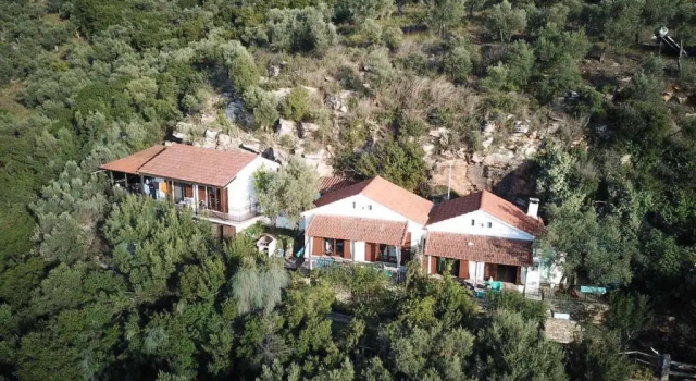 Апартаменты Dimitra Apartments