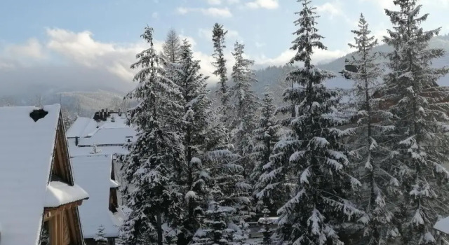 Студия Apartamenty Zakopane U Kośle 2