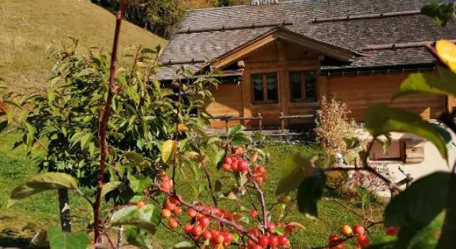 Chalet L'étale, Забронировать Шале Виллы Овернь-Рона-Альпы, Вилла