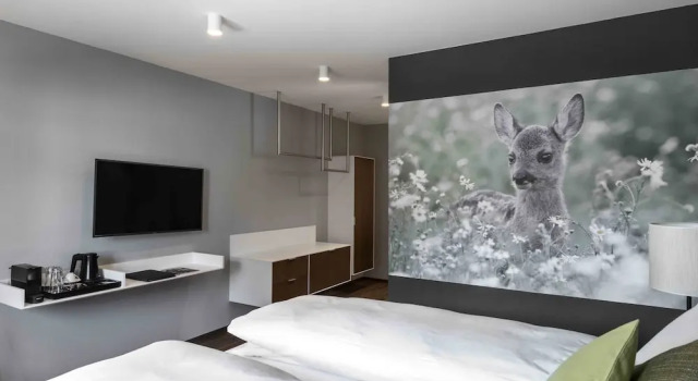 Номер Classic Hotel Mischun