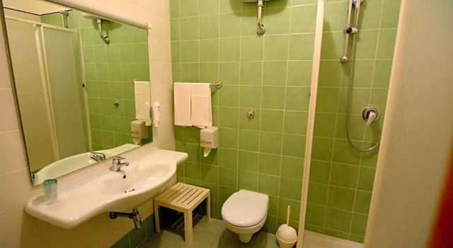 Номер Standard Grand Hotel Panorama