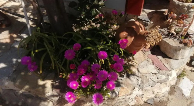 Коттедж Private country house