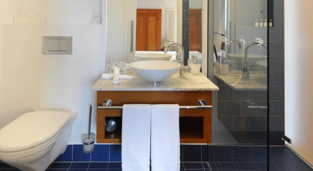 Двухместный номер Standard Jugendstilhotel Paxmontana