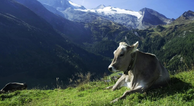 Апартаменты Apartment in Aschau Near Hochzillertal Slopes