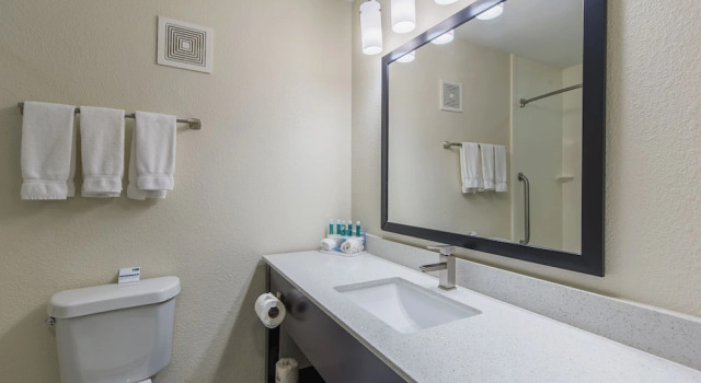 Двухместный люкс Holiday Inn Express Dandridge by IHG
