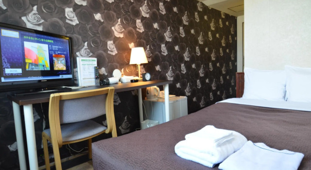 Одноместный номер Standard Select Inn Fujisan Gotemba