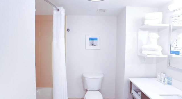 Двухместный номер Standard Hampton Inn & Suites Tampa-Wesley Chapel