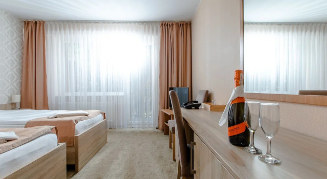 Двухместный номер Standard Millennium Health Resort & Spa